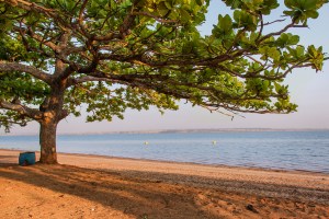 13919271213_fcb3023ff1_b